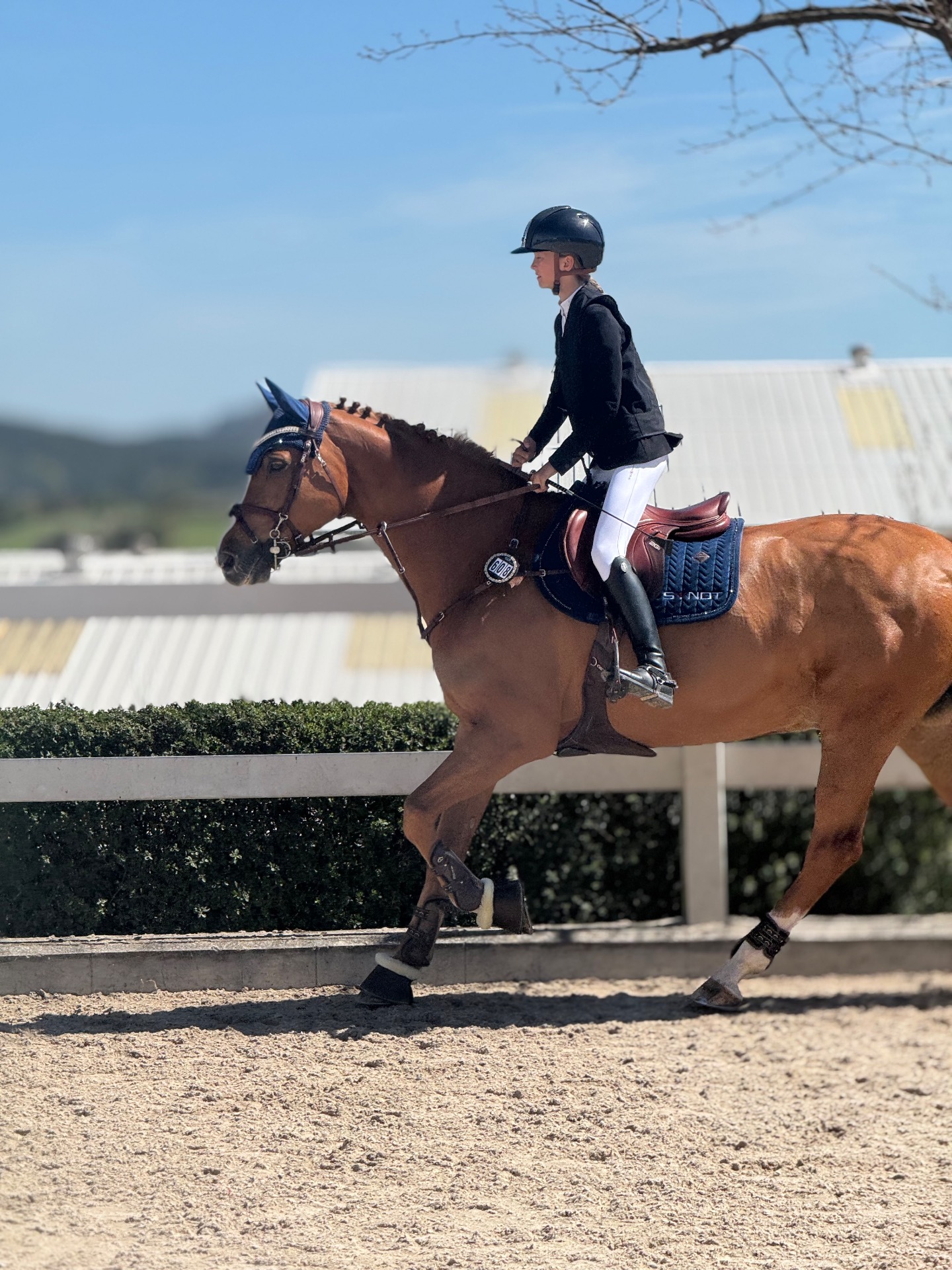 CSIO Zduchovice 21.-26.4.